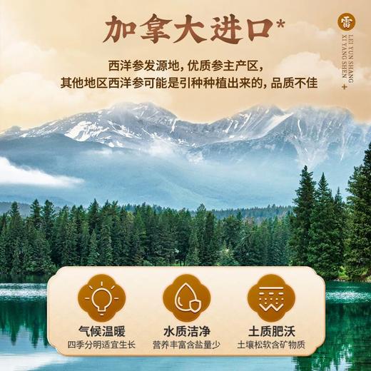 （雷允上）原产地加拿大西洋参100g 商品图3