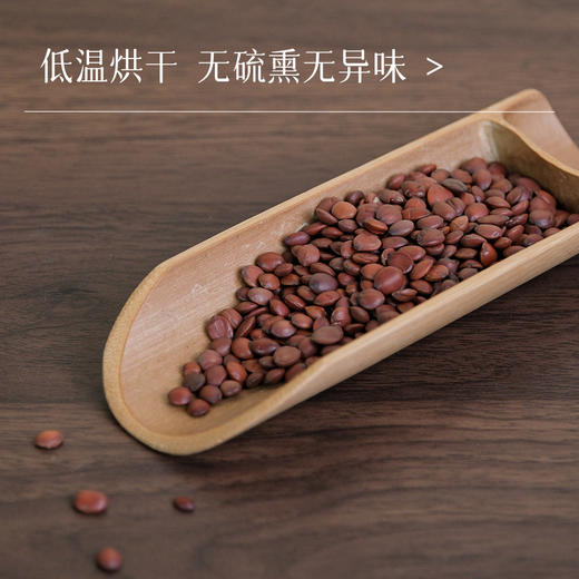 万物本草甄选生酸枣仁 安心好睡助眠茶 河北内丘酸枣仁 商品图2