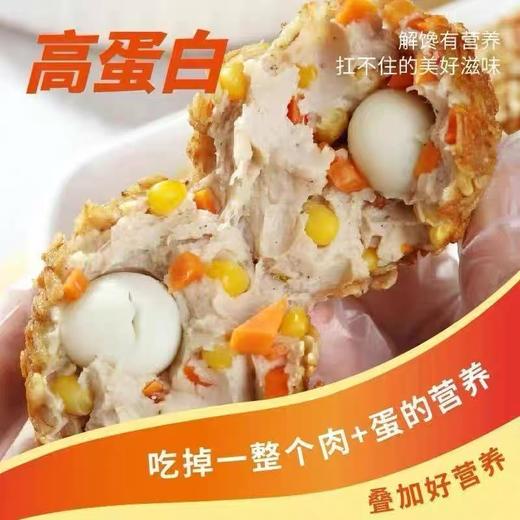【1件起全国包邮】肉包蛋燕麦饭团（60g*5个） 商品图3
