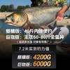 伽玛精工拿铁战轻量大物竿鲢鳙鱼竿 商品缩略图4