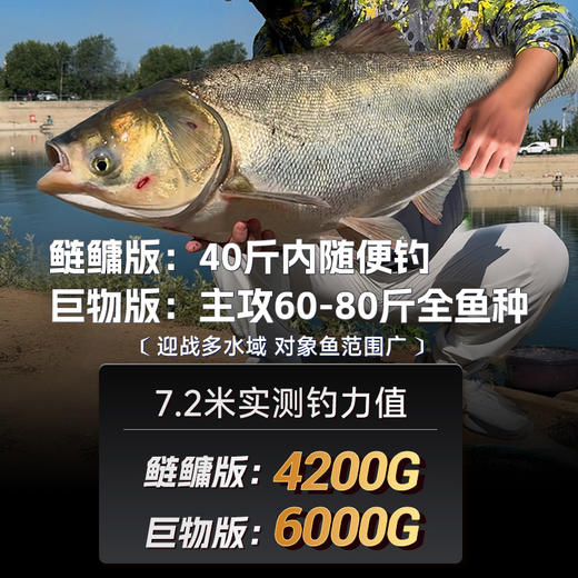 伽玛精工拿铁战轻量大物竿鲢鳙鱼竿 商品图4