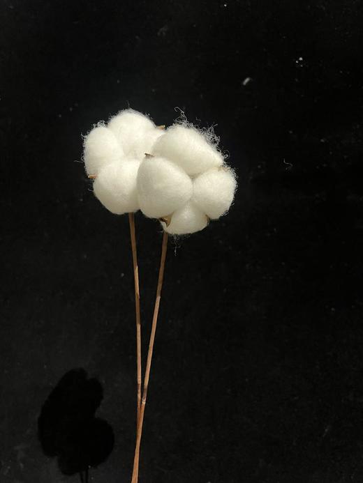 同城甄选小众花材棉花家居软装插花工艺用品 商品图0