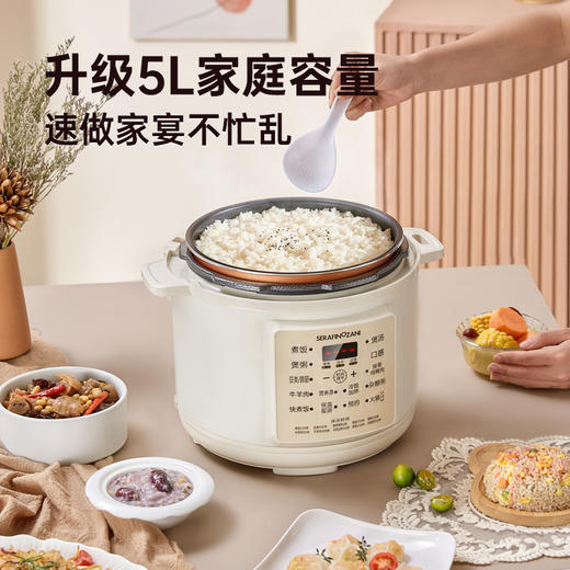 SERAFINOZANI尚尼
电压力锅
SZ-D01 商品图2