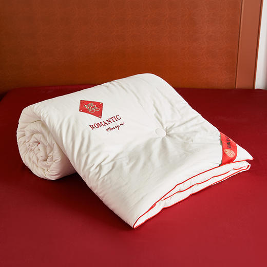百丽安娜喜被200*230cm 商品图4