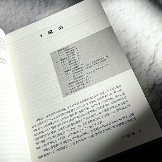 情绪心理学 当代中国心理科文库 国内外情绪心理学基础研究和应用领域成果 商品图8