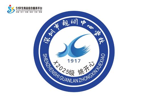 通版定制龙华区观澜中心学校包边熨烫校徽布姓名贴章可烫现货发51 商品图2