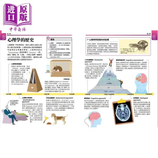 【中商原版】超简单心理课 自然科超高效学习指南	DK出版社编辑群 大石出版 港台原版 商品图2
