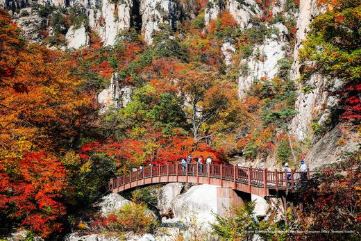 探秘韩境，红叶人文摄影之旅：内藏山、雪岳山、智异山三大红叶圣地8天 商品图9