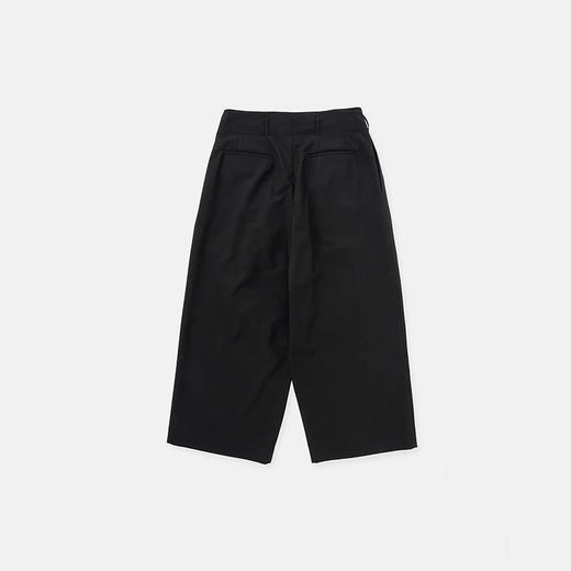 DIGAWEL Wide tuck pants 高密度羊毛府绸抗皱垂坠阔腿裤 商品图4