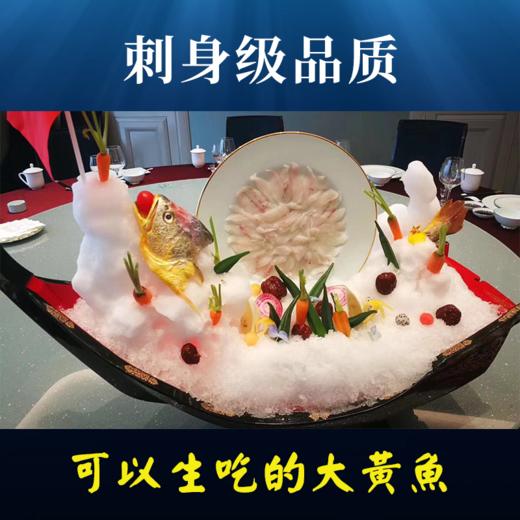 黄鱼岛有机深海大黄鱼  顺丰包邮 商品图6