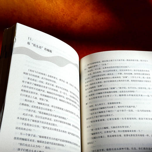 明说 教育的情智趣 大夏书系 教育新思考 教育随笔集 虞大明 商品图12