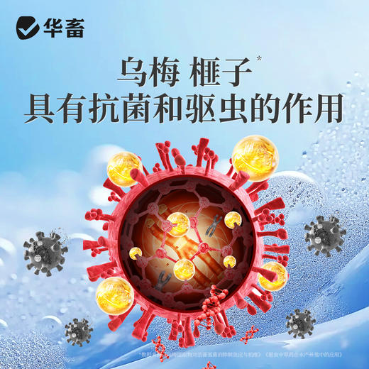 华畜虫克 驱虫抗菌 植物成分无残留 商品图2