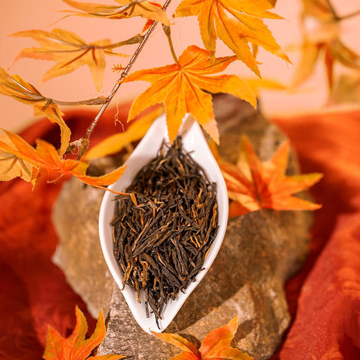 【陈升号经典58】口粮茶 买二送一！ 商品图1