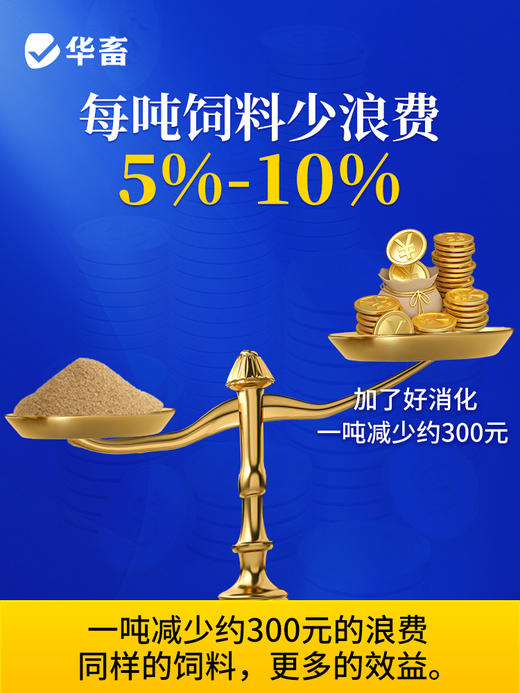 华畜好消化 促采食催肥 防过料 光吃不长 提高饲料利用率 商品图2