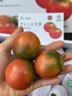 草莓番茄（500g/份）