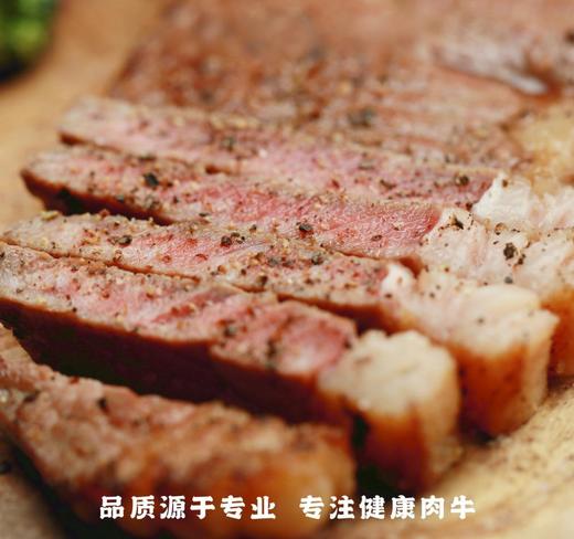 【无激素  谷物饲养200天以上】安格斯牛排/牛肉饼礼盒装  顺丰直发 商品图4