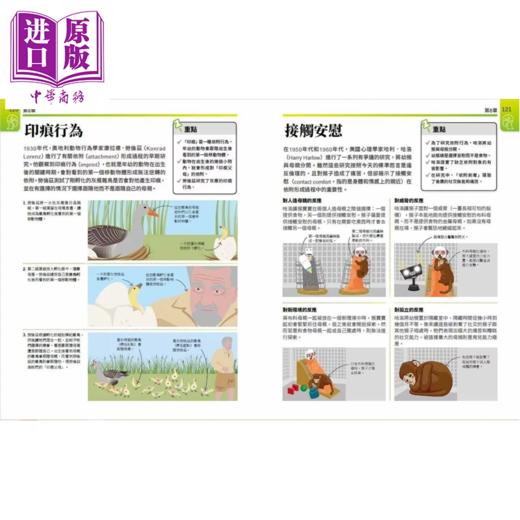 【中商原版】超简单心理课 自然科超高效学习指南	DK出版社编辑群 大石出版 港台原版 商品图4