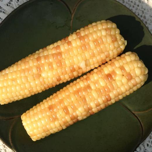 高山美物 010花糯玉米 云南百年老品种 非转基因  颗粒饱满 香中带甜 软中细糯 商品图6