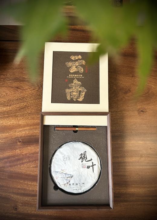 云南普洱生茶熟茶礼盒【基地直发】 产地：云南西双版纳 | 生产者：单伟 商品图7