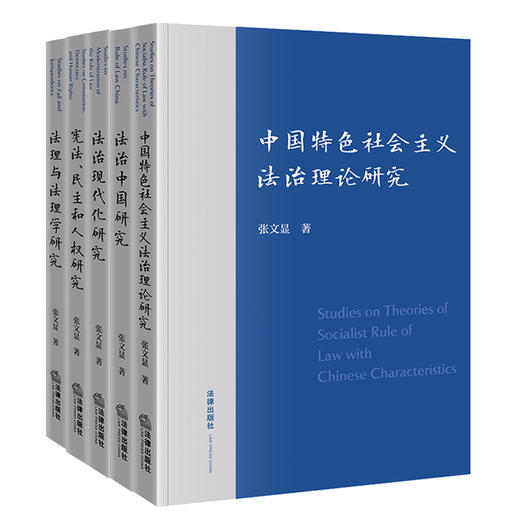 5本套 中国特色社会主义法治理论研究+法治中国研究+法治现代化研究+法理与法理学研究+宪法、民主和人权研究 张文显著 法律出版社 商品图0