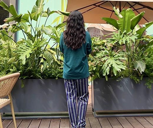 【26S100%棉单面初秋必备】SCHIESSER德国舒雅女七分袖长裤套装26S棉单面 100%棉 170/m2  31/25094H 商品图3