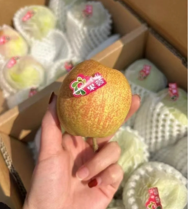 【地标好货】新疆库尔勒香梨箱装量贩*7kg
