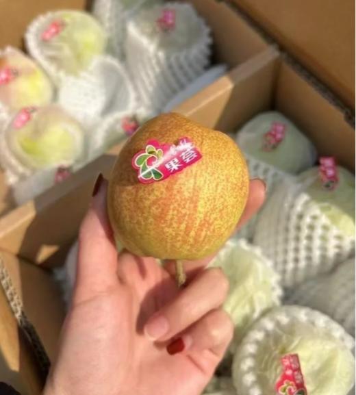 【地标好货】新疆库尔勒香梨箱装量贩*7kg 商品图0