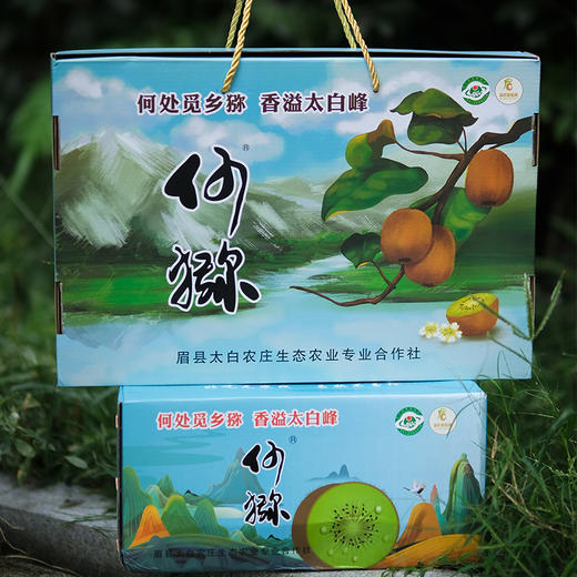 【何猕生态猕猴桃】来自秦岭主峰太白山的美味 巨多汁的绿心猕猴桃！果香浓郁 香甜多汁 易放软不易放坏 商品图4