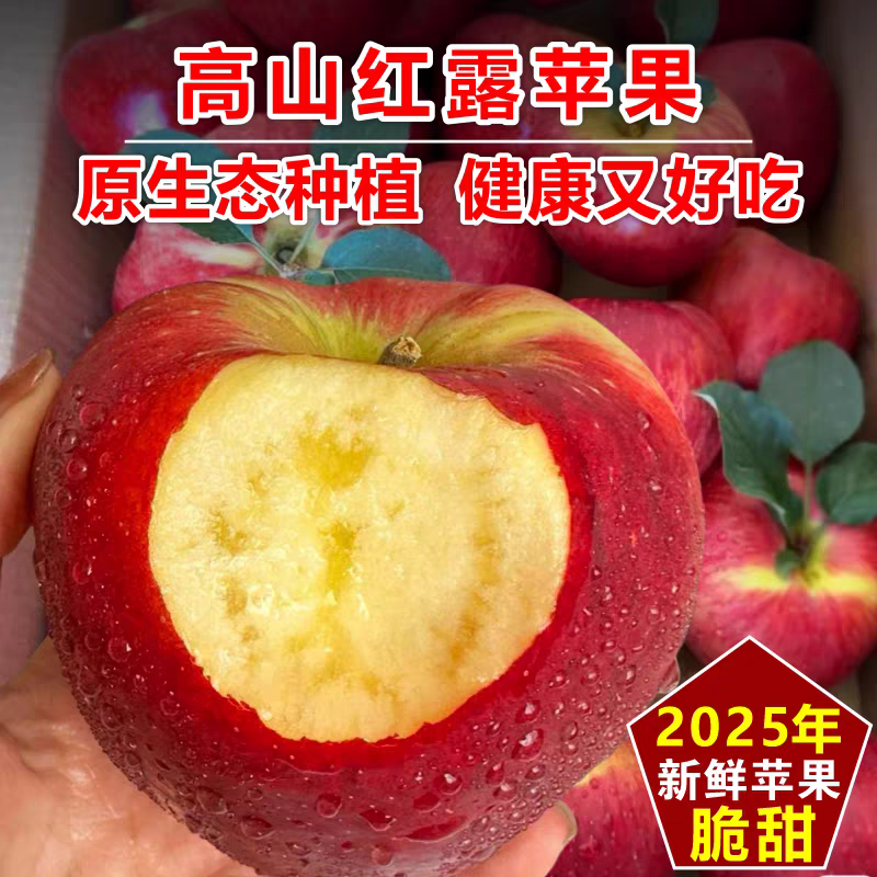 高原阳光养出的脆甜果【云南高山红露苹果】认准昭通产地！脆嫩果肉 + 浓甜口感，原生态风味太绝了!阳光足足晒1900小时，甜度13+