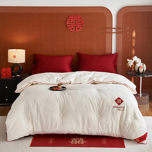 百丽安娜喜被200*230cm 商品图0