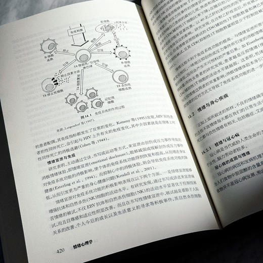 情绪心理学 当代中国心理科文库 国内外情绪心理学基础研究和应用领域成果 商品图13