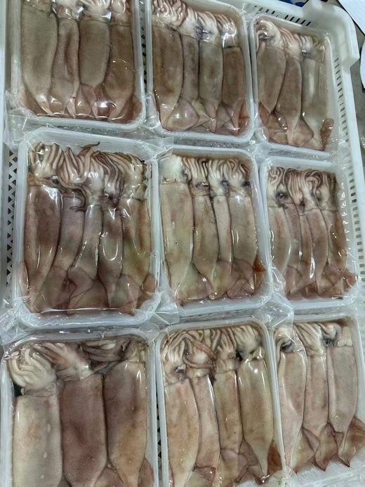（原浆不泡药，不泡水）大连新鲜原浆小鱿鱼，冷冻真空包装，一袋一斤4-5条装， 3袋装/5袋装，全国顺丰包邮，偏远地区除外 商品图0