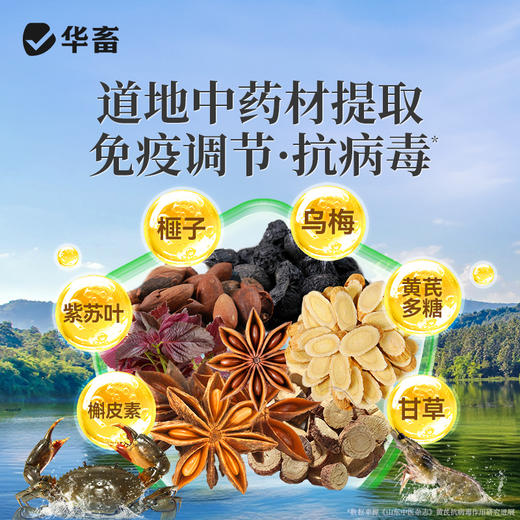 华畜虫克 驱虫抗菌 植物成分无残留 商品图3