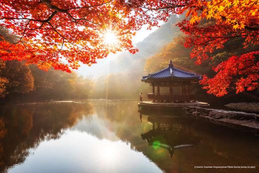 探秘韩境，红叶人文摄影之旅：内藏山、雪岳山、智异山三大红叶圣地8天 商品图2