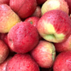 高原阳光养出的脆甜果【云南高山红露苹果】认准昭通产地！脆嫩果肉 + 浓甜口感，原生态风味太绝了!阳光足足晒1900小时，甜度13+ 商品缩略图5