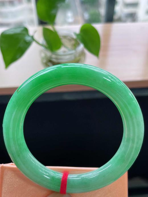 54圆条翡翠手镯 商品图4