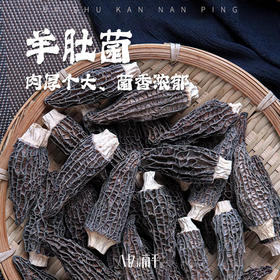 羊肚菌干货羊肚菌特产级煲汤食材牛肚菌非菌汤