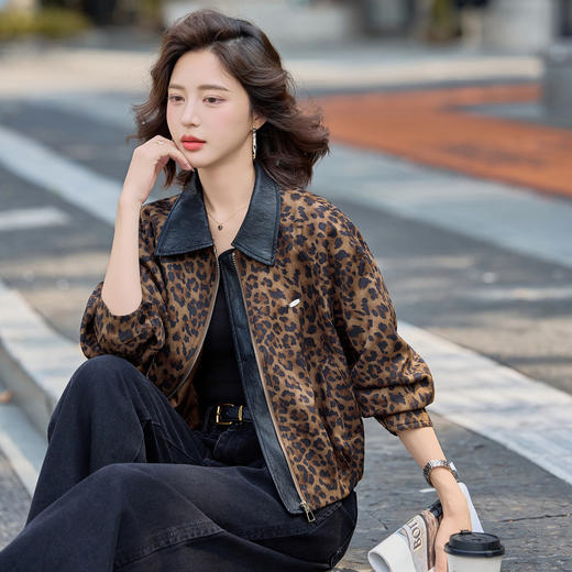 雀说美式复古豹纹翻领撞色外套女新款设计感小个子休闲夹克AL9070 商品图2