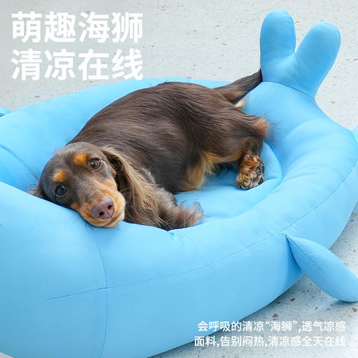 zeze海狮凉感宠物床-B(包邮) 商品图4