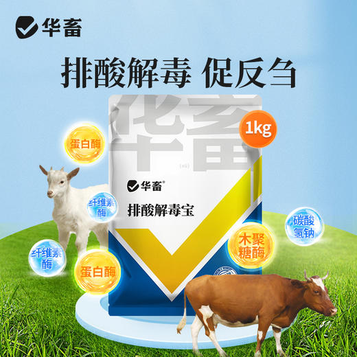 华畜 排酸解毒宝1kg 牛羊瘤胃 胀气  过料严重 采食量下降 拉稀腹泻 商品图0