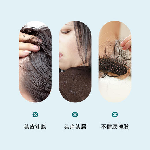 雅琪朵迷迭香精油洗发精|合作生产|基地直发*Rosemary Oil Shampoo‌ 商品图2