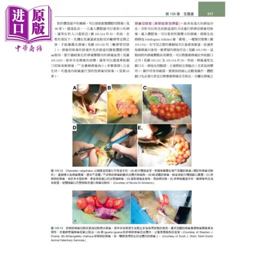 【中商原版】Mader s两栖与爬虫内外科 第3版 中册  Stephen J  Divers  爱思唯尔	港台原版 商品图3