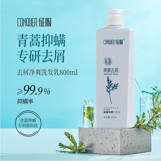【风风专属 好评回购超高的征服洗发水800ml】征服青蒿洗发乳、征服小胶蓝头皮精华素，生姜强韧、去屑净爽、控油蓬松、沐浴露护发素组合系列（下单送随机小样*2） 商品图1