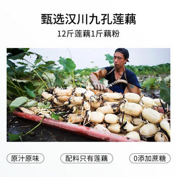 捷氏100%纯藕粉0脂肪无糖添加莲藕粉羹冲饮健身代餐营养早餐食品550克 /水饮冲调 /冲饮谷物 /果蔬粉 商品图3