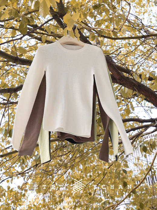 PETIT SCHAN小闪 CLO#896 Impeccably 不着痕迹 日本岛精无缝一体美利奴羊毛圆领针织打底衫 商品图2