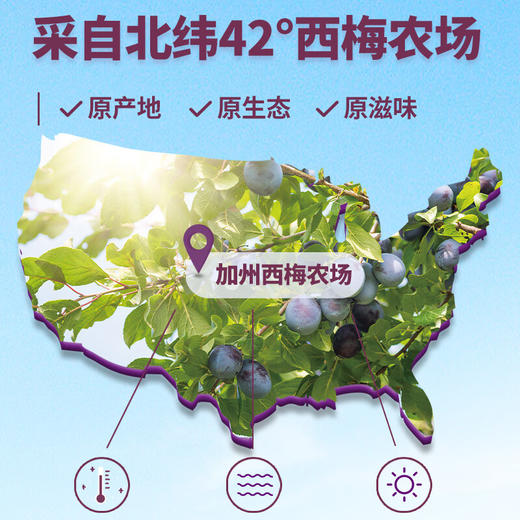 溜溜梅西梅 160g 商品图2