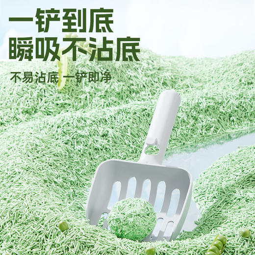冒险与它 纯植豆腐猫砂2kg 绿茶植物芬芳除臭低尘结团 1箱=10袋 整吨联系请业务员 商品图2