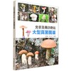 北京及周边地区大型真菌图鉴 &3203 商品缩略图0