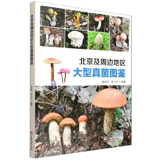 北京及周边地区大型真菌图鉴 &3203 商品图0