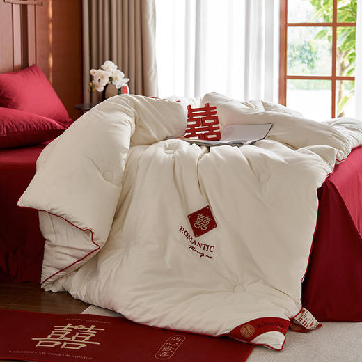 百丽安娜喜被200*230cm 商品图2